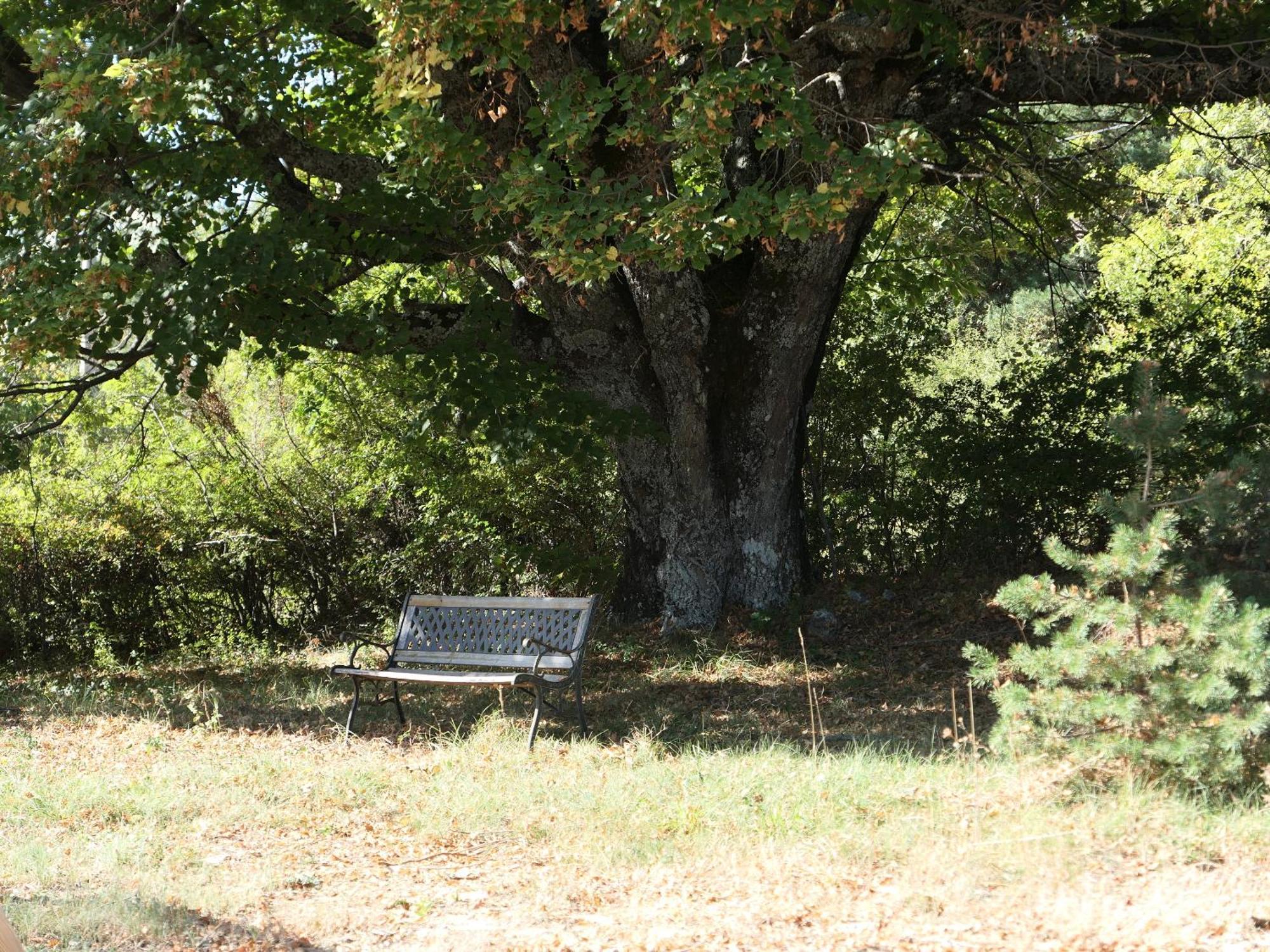La Grisonne - Gite Nordine Revest-du-Bion Εξωτερικό φωτογραφία